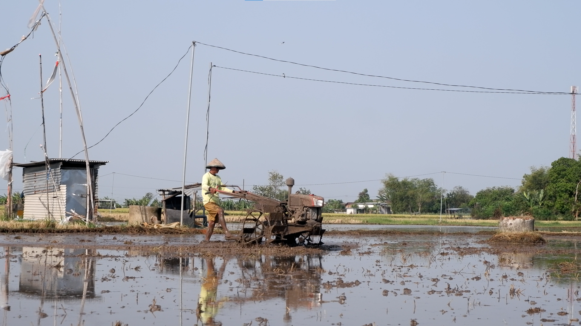 Aktivitas membajak sawah di Desa Rowomarto