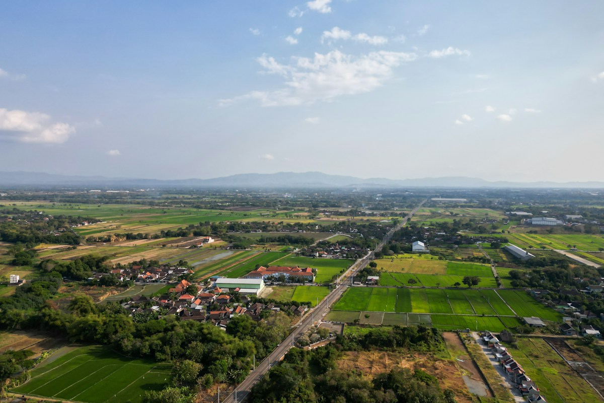 Hamparan persawahan Desa Rowomarto