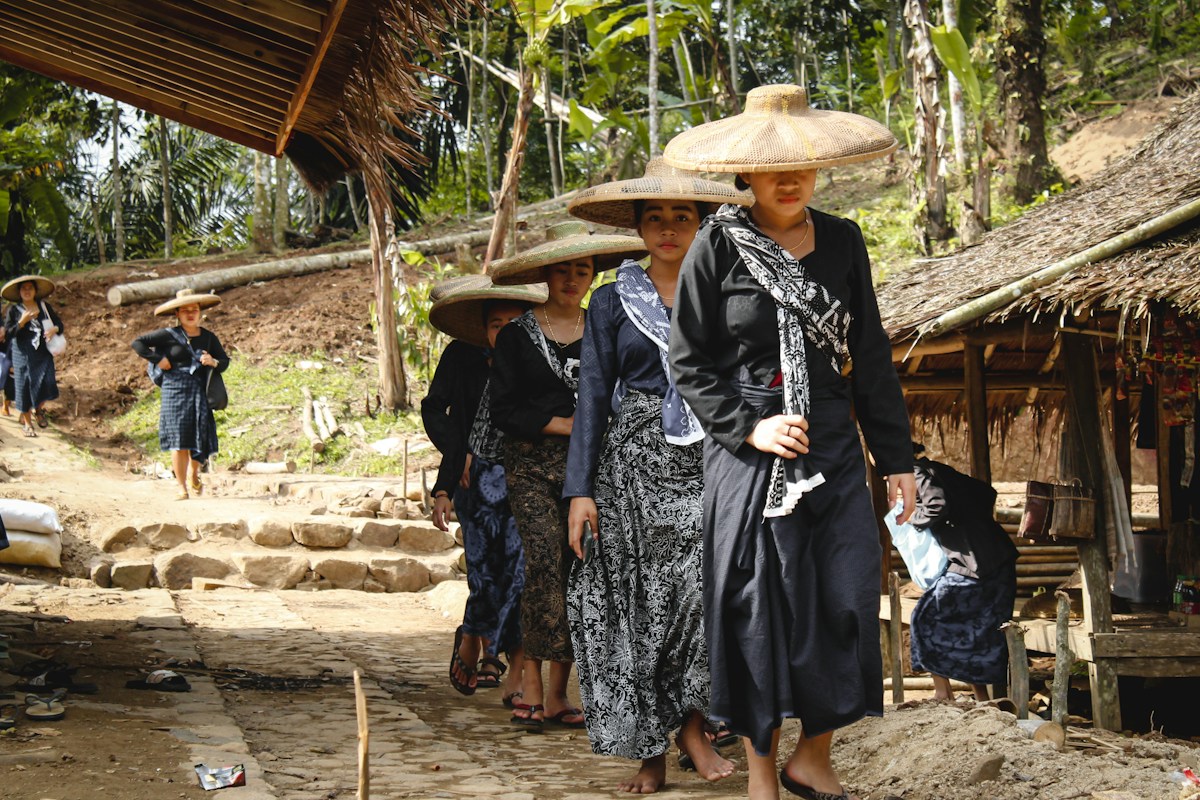 Pertanian Padi Sawah